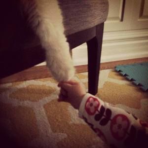 Meet your Posher, Katherine